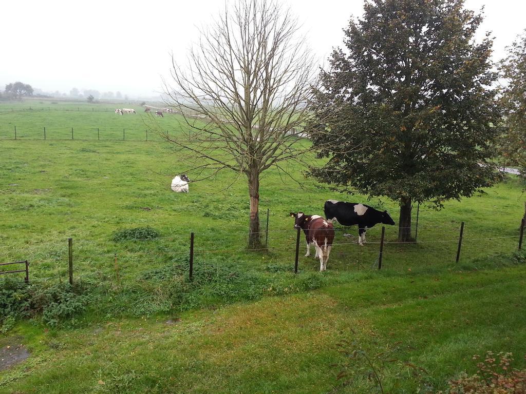 B&B De Rivierduin Hattem Exterior foto